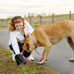 copy of EKO BIO bags for dog poop 20/100 pieces