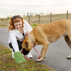 ECO biodegradable compostable bags for dog poop 23x31 15pcs