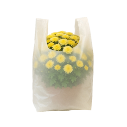 Einwegbeutel für Chrysanthemen All Saints 65x90cm 0,02 50 Stück weiß HDPE