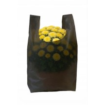 Kopie Jednorázové sáčky na chryzantémy Všichni svatí 60x80cm 0.013 100ks bílý HDPE