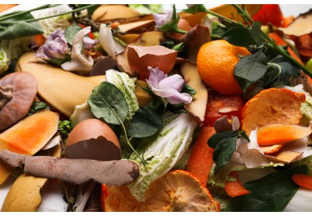 Worki na odpady BIO – bestseller GRALA PACK, w który warto zainwestować. Dla Planety